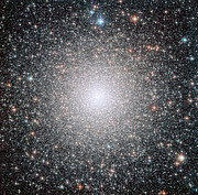 The globular cluster NGC 6388, observed by the NASA/ESA Hubble Space Telescope