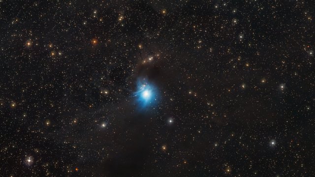 Inzoomen op de jonge ster in de reflectienevel IC 2631
